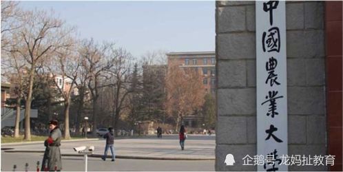重慶迎五所雙一流大學布局，含兩所985高校南京環保工程校區